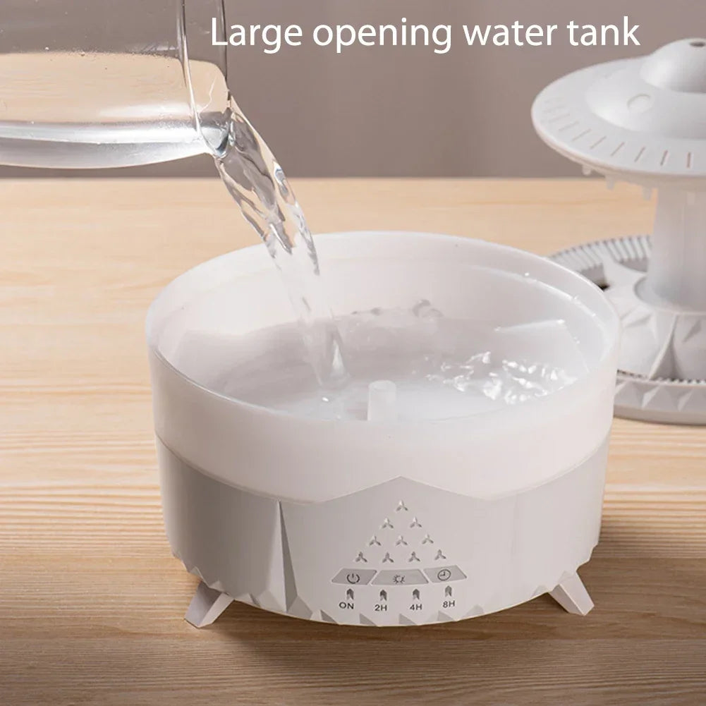 Rain Cloud humidifier